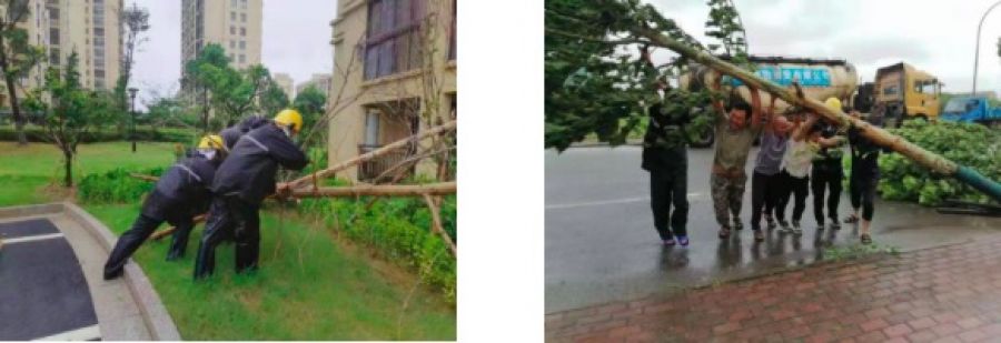 1634893396543531R9k8.jpeg WechatIMG683.jpeg